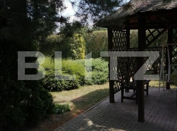 Casa de vânzare 9 camere Chisoda - 149582CV | BLITZ Timișoara | Poza9