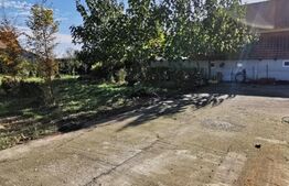  Teren intravilan pentru casa, S=700mp, Cheveresul Mare 