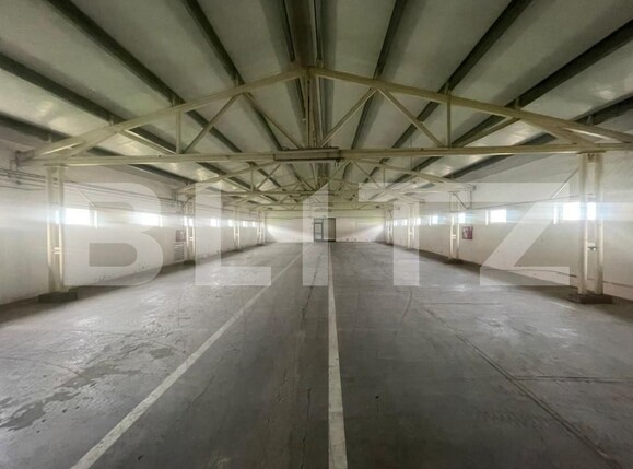 Spațiu industrial de închiriat Exterior Nord - 149725SII | BLITZ Timișoara | Poza1