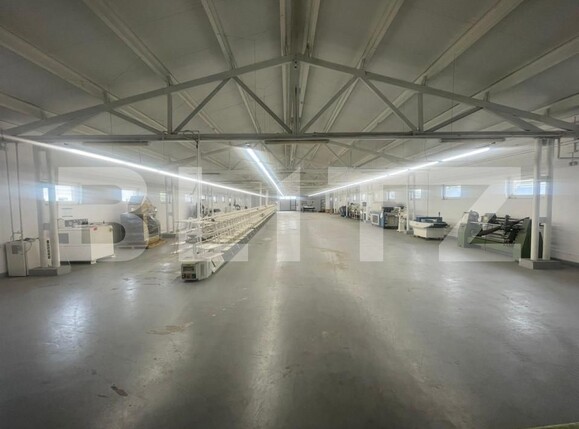 Spațiu industrial de închiriat Exterior Nord - 149725SII | BLITZ Timișoara | Poza3