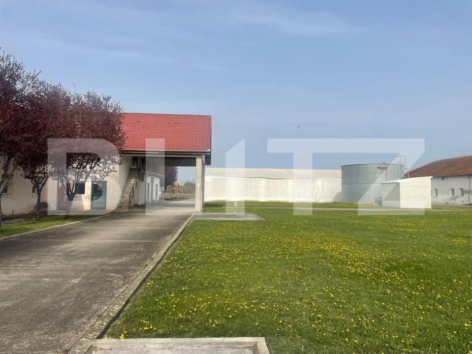 Spațiu industrial de închiriat Exterior Nord - 149725SII | BLITZ Timișoara | Poza4