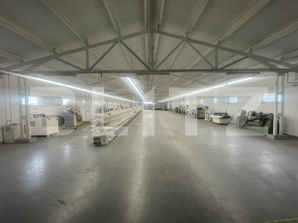 Spațiu industrial de închiriat Exterior Nord - 149725SII | BLITZ Timișoara | Poza3