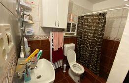 Casa 8 camere, individuala 190mp utili, 416mp teren, terasa inchisa in Lugoj