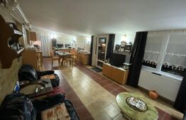 Casa 8 camere, individuala 190mp utili, 416mp teren, terasa inchisa in Lugoj