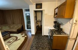 Casa 8 camere, individuala 190mp utili, 416mp teren, terasa inchisa in Lugoj