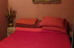 Casa 8 camere, individuala 190mp utili, 416mp teren, terasa inchisa in Lugoj