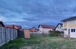 Casa tip duplex, 7 camere, 380mp in Sag