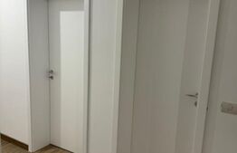 Casa individuala. 100 mp utili, Remetea Mare