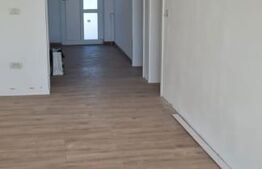 Casa individuala. 100 mp utili, Remetea Mare