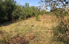 2 case, 78 mp, respectiv 93 mp, 2 terase, curte, zona Ghiroda