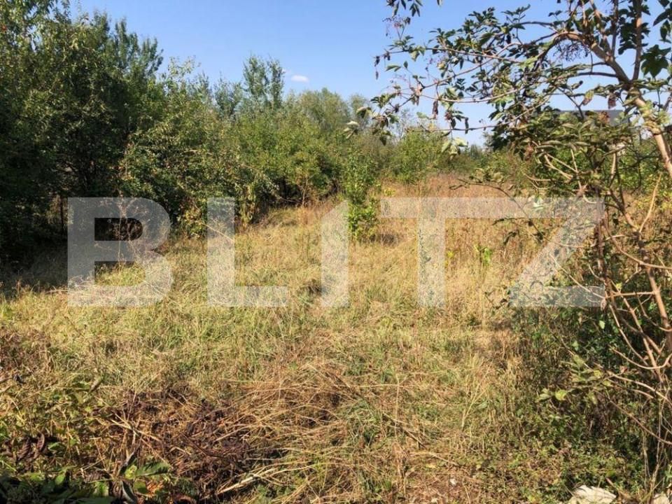 Casa de vânzare 2 camere Ghiroda - 151155CV | BLITZ Timișoara | Poza6