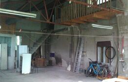 Casa cu 2 apartamente, 230 mp, zona Freidorf