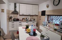 Casa NOUA superba de vanzare, localitatea Sag