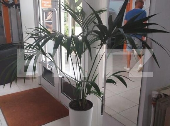 Spațiu comercial de vânzare Complex Studentesc - 151167SVC | BLITZ Timișoara | Poza1