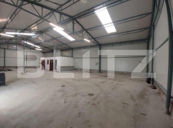 Spațiu industrial de închiriat Torontalului - 151176SII | BLITZ Timișoara | Poza2