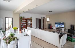 Spatiu Comercial, 94 Mp, Complexul Studentesc