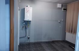 Spatiu comercial, 28 mp, Lipovei