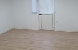 Spatiu comercial, birouri sau alte destinatii, 55 mp, Lipovei