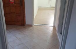 Spatiu comercial, birouri sau alte destinatii, 55 mp, Lipovei