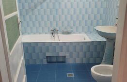 Spatiu comercial, birouri sau alte destinatii, 55 mp, Lipovei