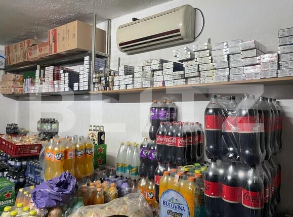 Spațiu comercial de vânzare Lugojului - 151182SVC | BLITZ Timișoara | Poza3