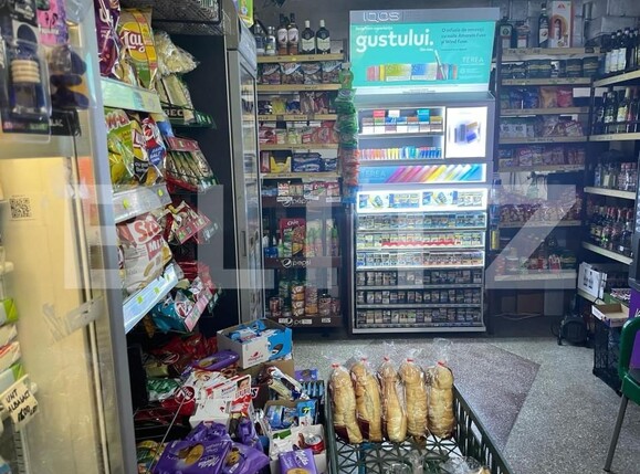 Spațiu comercial de vânzare Lugojului - 151182SVC | BLITZ Timișoara | Poza1