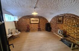 Spatiu comercial de inchiriat,28 mp utili, Vintage, zona Traian