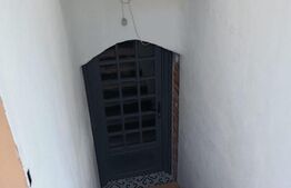 Spatiu comercial de inchiriat,28 mp utili, Vintage, zona Traian