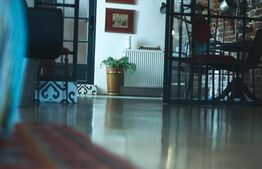 Spatiu comercial de inchiriat,28 mp utili, Vintage, zona Traian