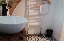 Spatiu comercial de inchiriat,28 mp utili, Vintage, zona Traian