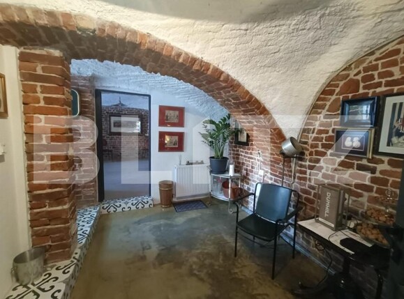 Spațiu comercial de închiriat Traian - 151184SIC | BLITZ Timișoara | Poza1