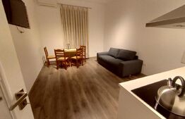 Casa cu SAD, cocheta, de 200 mp utili, D+P, cocheta, zona Lipovei