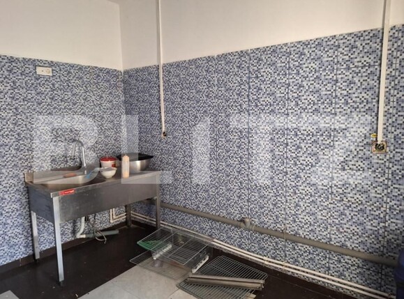 Spațiu comercial de închiriat Complex Studentesc - 151187SIC | BLITZ Timișoara | Poza2