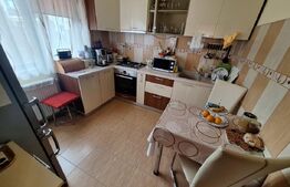 Duplex 4 camere, 125 mp utili, suprafata teren 300 mp, Giroc