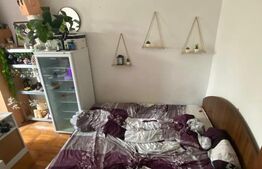 Apartament, 2 camere, Su 43=mp, zona Dacia