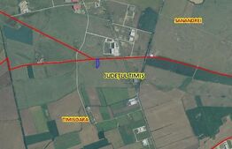 Teren extravilan, 40.000 mp, Sanandrei