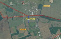 Teren extravilan, 40.000 mp, Sanandrei