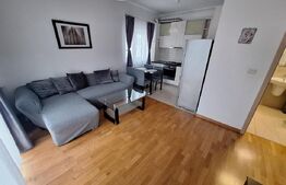Apartament 2 camere, 46 mp, zona Girocului