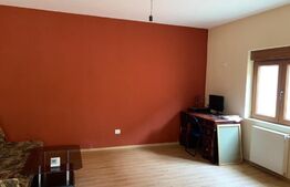 2 case cu suprafata utila 126 mp, Aleea Ghirodei