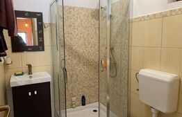 2 case cu suprafata utila 126 mp, Aleea Ghirodei