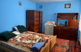 2 case cu suprafata utila 126 mp, Aleea Ghirodei