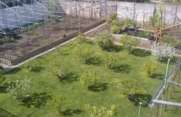 Case alăturate cu grădină, parcare și potențial comercial în Elisabetin