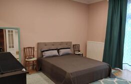 Case alăturate cu grădină, parcare și potențial comercial în Elisabetin