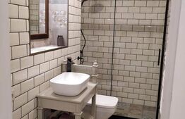 Case alăturate cu grădină, parcare și potențial comercial în Elisabetin