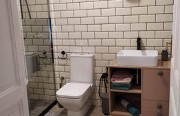 Case alăturate cu grădină, parcare și potențial comercial în Elisabetin