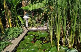 Case alăturate cu grădină, parcare și potențial comercial în Elisabetin