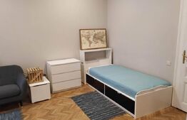 Case alăturate cu grădină, parcare și potențial comercial în Elisabetin