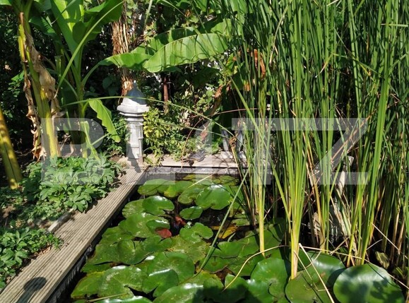 Casa de vânzare 12 camere Elisabetin - 152702CV | BLITZ Timișoara | Poza14