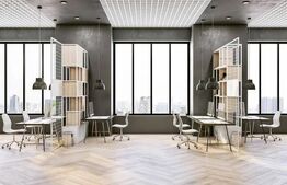 Oportunitate, spatiu birouri, 156 mp, ZONA nord Timisoara