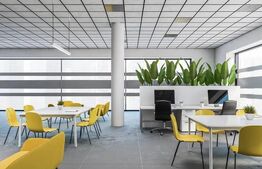 Oportunitate, spatiu birouri, 156 mp, ZONA nord Timisoara